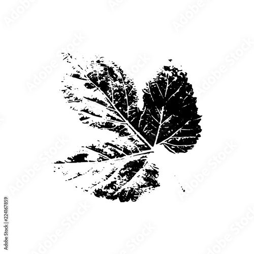 Black silhouette with leaf of tree. Single isolated clipart. Prints of leaves on branch. Flora and nature theme for paper cutting scrapbook design