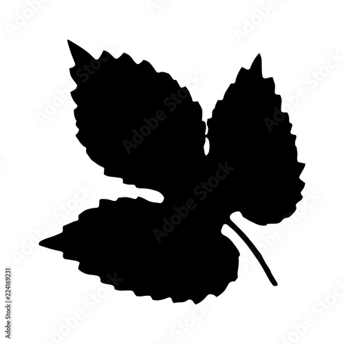 Black silhouette with leaf of tree. Single isolated clipart. Prints of leaves on branch. Flora and nature theme for paper cutting scrapbook design