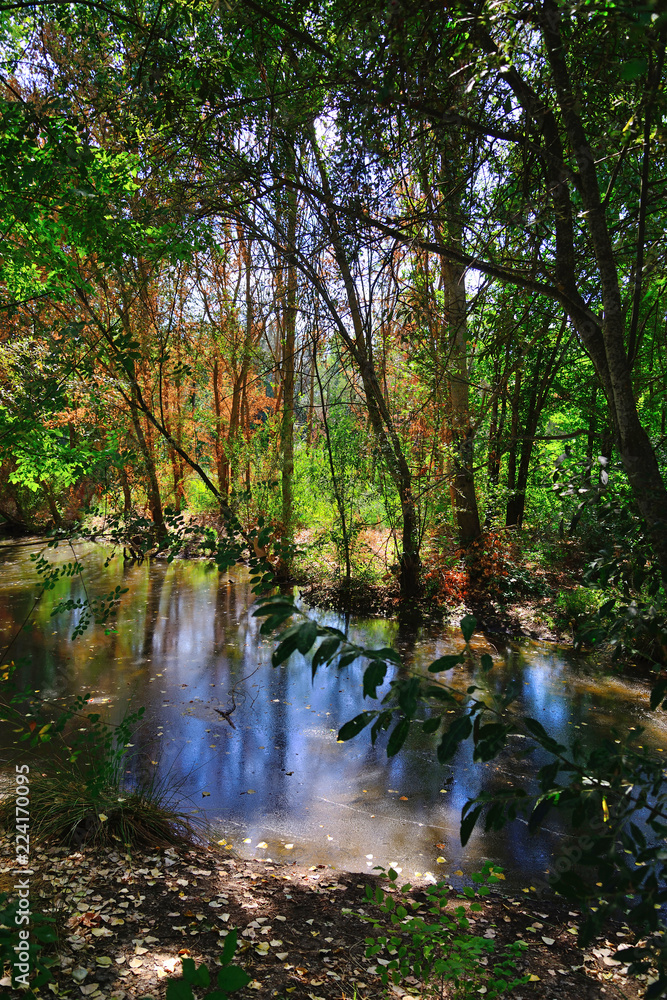 Bullaque River in the natural setting of the Tablas de la Yedra, Piedrabuena, Ciudad Real, Spain. Bullaque River in the natural setting of the Tablas de la Yedra, Piedrabuena, Ciudad Real, Spain.