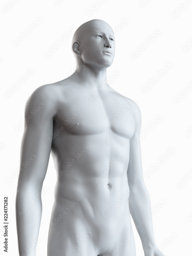 3d rendered medically accurate illustration of a grey male body 3d rendered medically accurate illustration of a grey male body