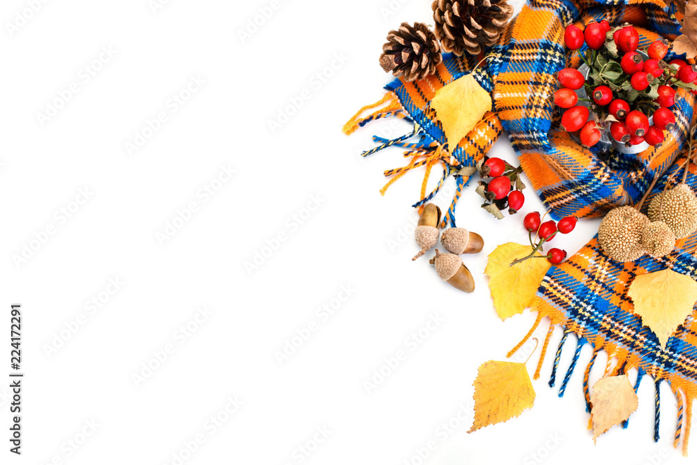 Naklejka premium Happy Thanksgiving Day background. White background decorated with Pumpkins, Maize, fruits and autumn leaves. Autumn festival. Harvest festival. The view from the top. Horizontal.