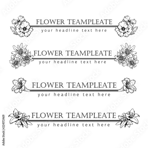 Template of hand drawn headlines with ink flowers alstroemeria ,ranunculus, lily, poppy. Set of four pages