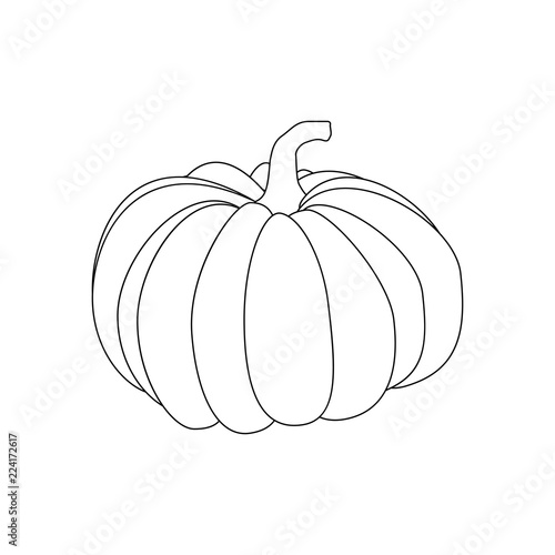 Pumpkin autumn illustration
