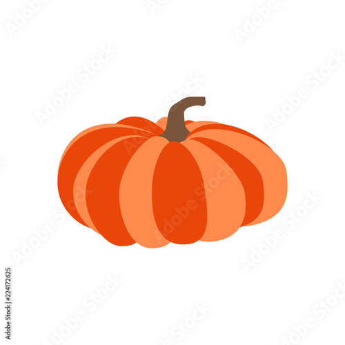 Pumpkin autumn illustration