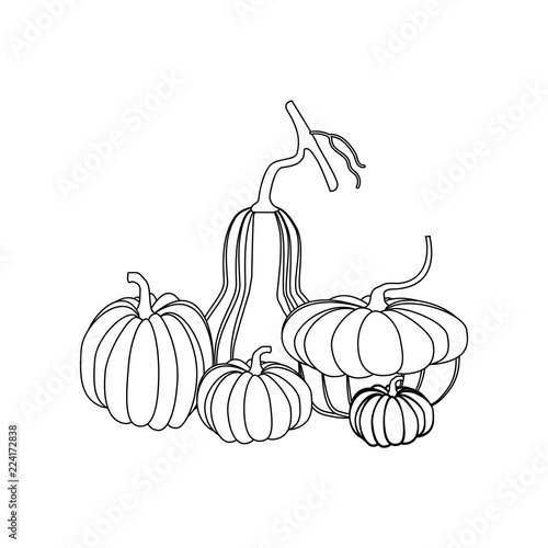 Pumpkin autumn illustration