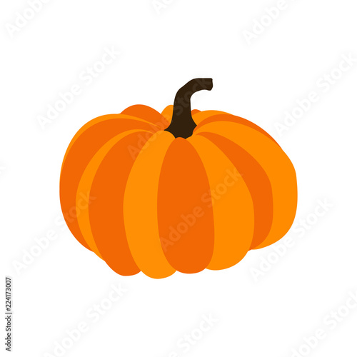 Pumpkin autumn illustration