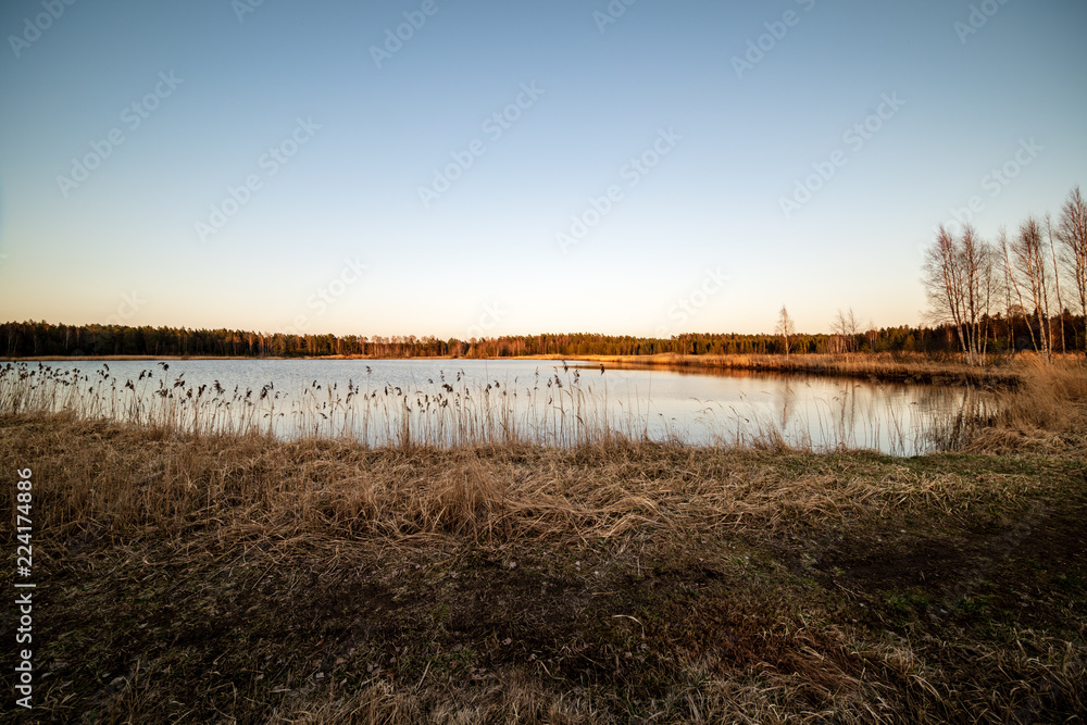 lake shore with grass and trees in spring lake shore with grass and trees in spring
