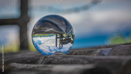 Crystal Ball With Green Tree 