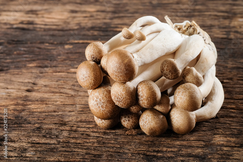 'Shimeji mushroom' good food for good health.
