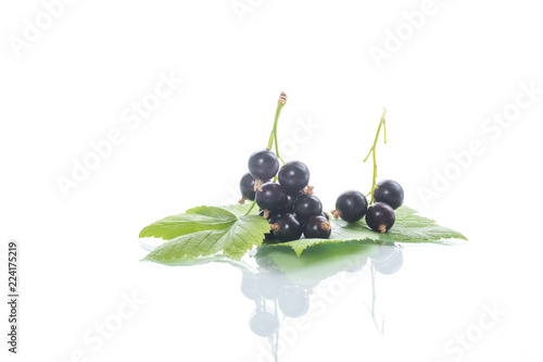 ripe berries black currant on white background