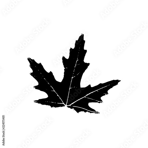 Black silhouette with leaf of tree. Single isolated clipart. Prints of leaves on branch. Flora and nature theme for paper cutting scrapbook design