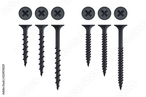 Set of self-tapping screws for wood and metal, isolated on white