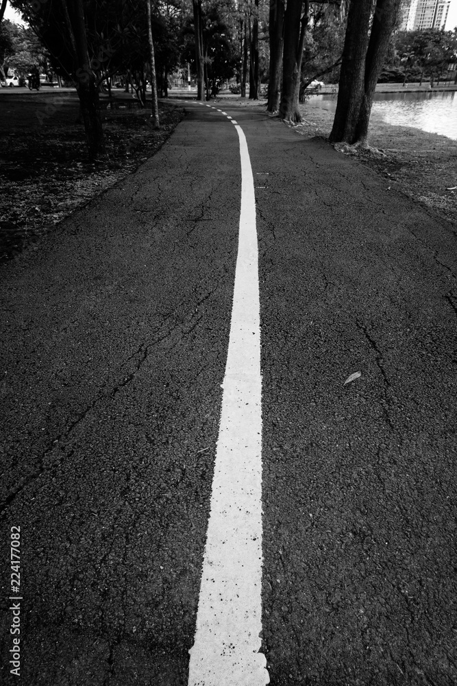 Obraz premium asphalt road in the park black and white style