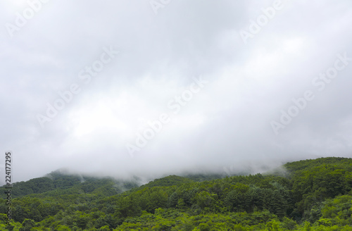 Green mountain and rain cloud for natural background