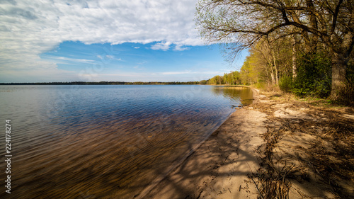 lake shore with grass and trees in spring