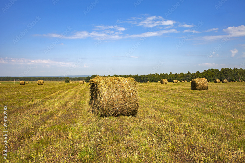 round haystacks in the field in the Republic of Bashkortostan