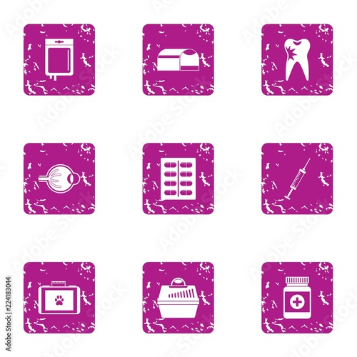 Carrying the animal icons set. Grunge set of 9 carrying the animal vector icons for web isolated on white background
