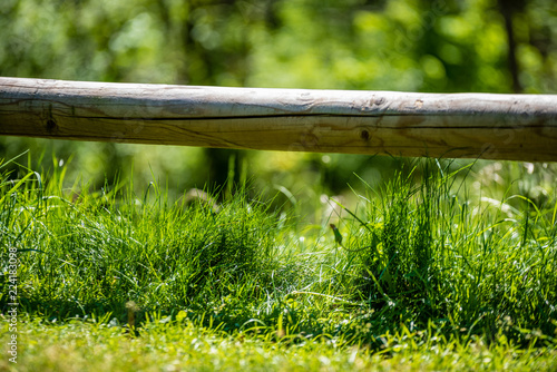 old wooden fence in garden at countryside