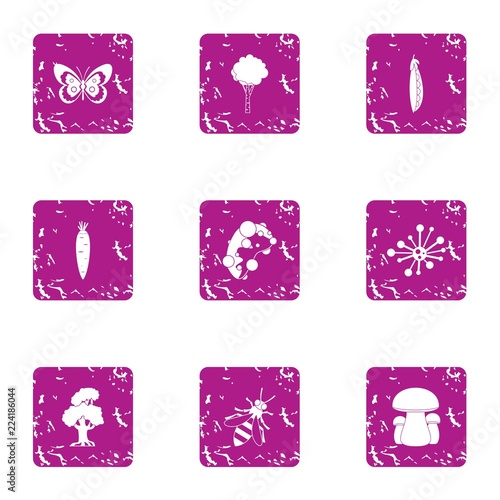 Resident of timber icons set. Grunge set of 9 resident of timber vector icons for web isolated on white background