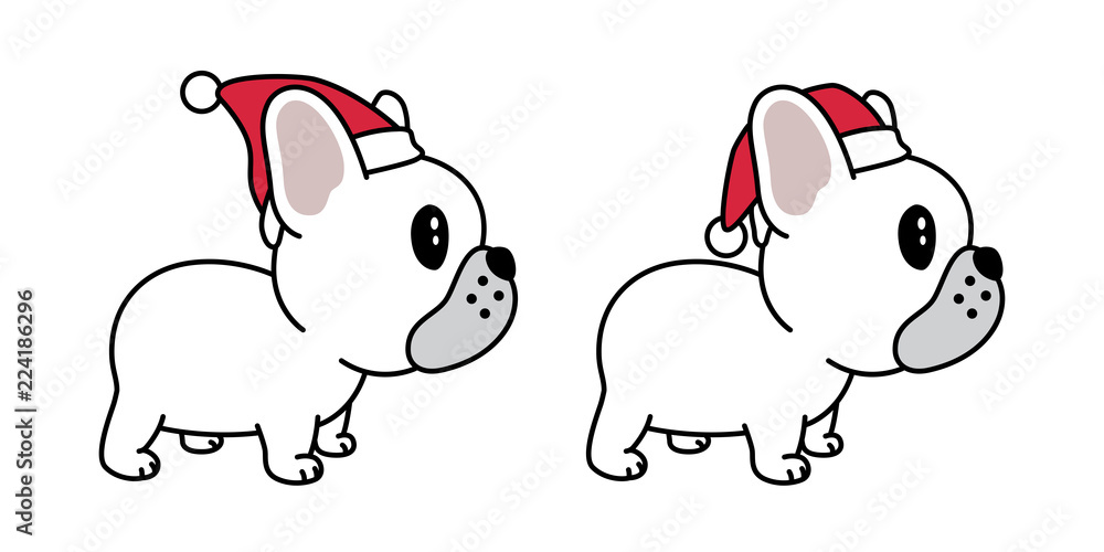 Fototapeta premium dog vector french bulldog Christmas Santa Claus Xmas hat scarf cartoon character icon logo illustration white