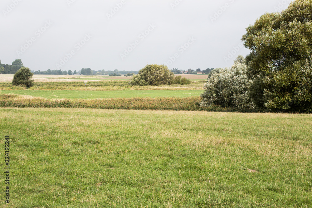 tranquil danish landscape in syddanmark