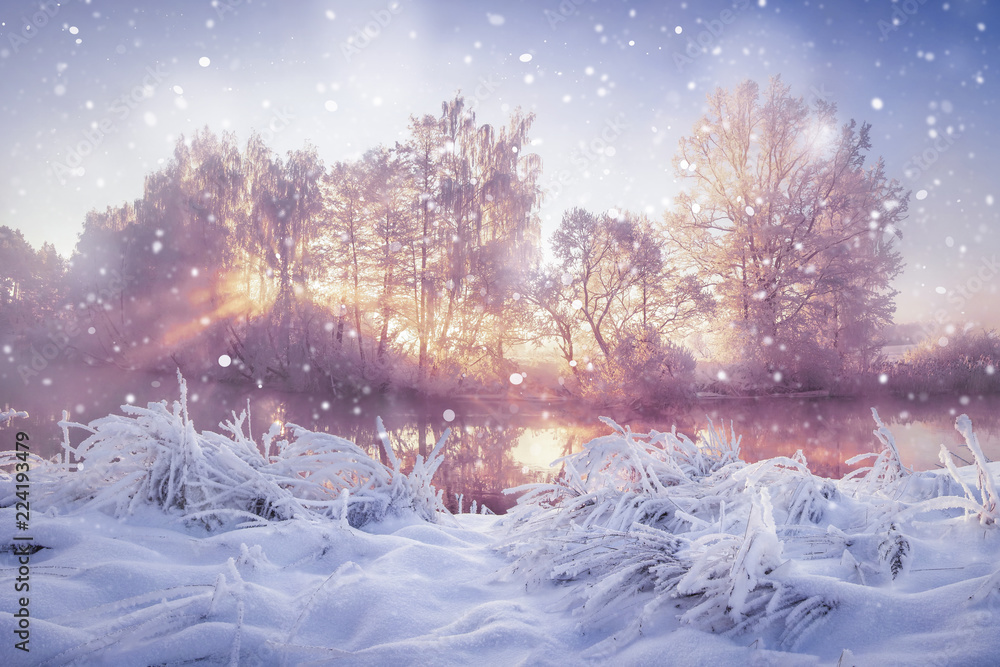 Winter nature landscape in snowfall. Snowy and frosty trees in morning sunlight. Christmas background Winter nature landscape in snowfall. Snowy and frosty trees in morning sunlight. Christmas background