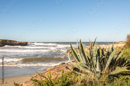 Waves on the sandy beaches of Ostuni in Salento on the Adriatic sea