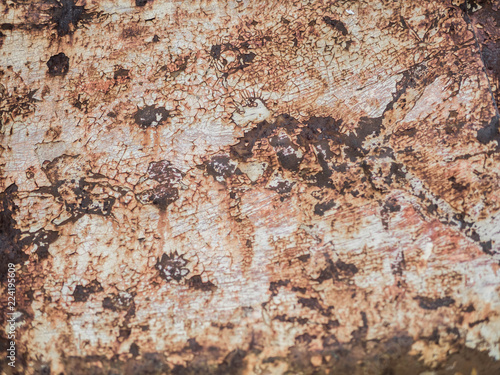 Old rust texture.Grunge background. Distressed wallpaper