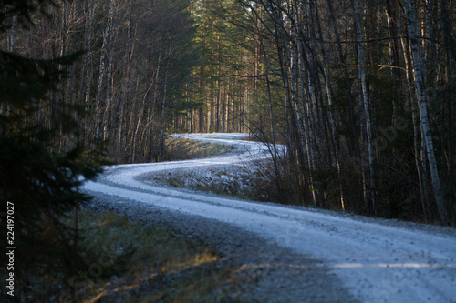 A white ice covered road winds through a dark forest © Adam