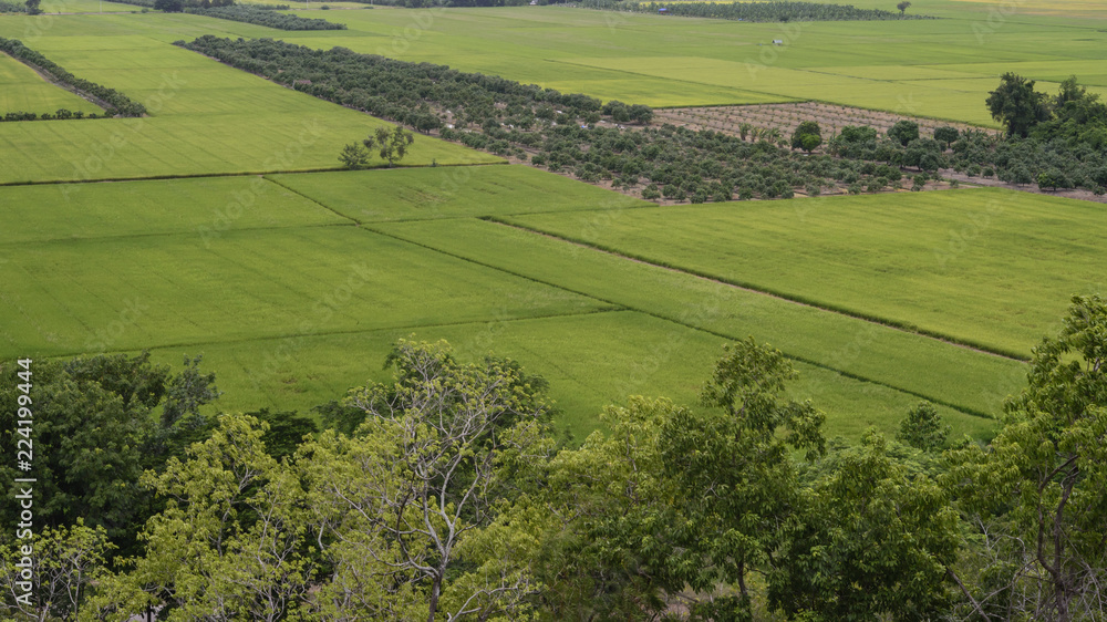 Aerial view of agricultural fields Aerial view of agricultural fields