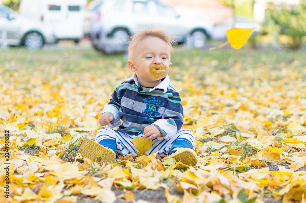Little baby boy playing with yellow leaves in the park. Autumn. Little baby boy playing with yellow leaves in the park. Autumn.