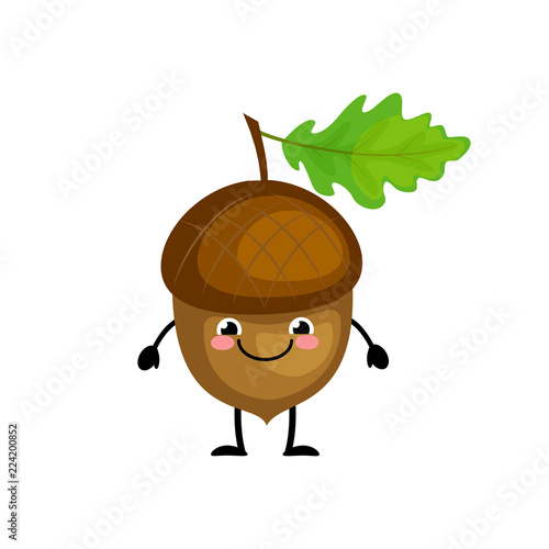 Cute cartoon acorn characters vector illustration isolated on wh