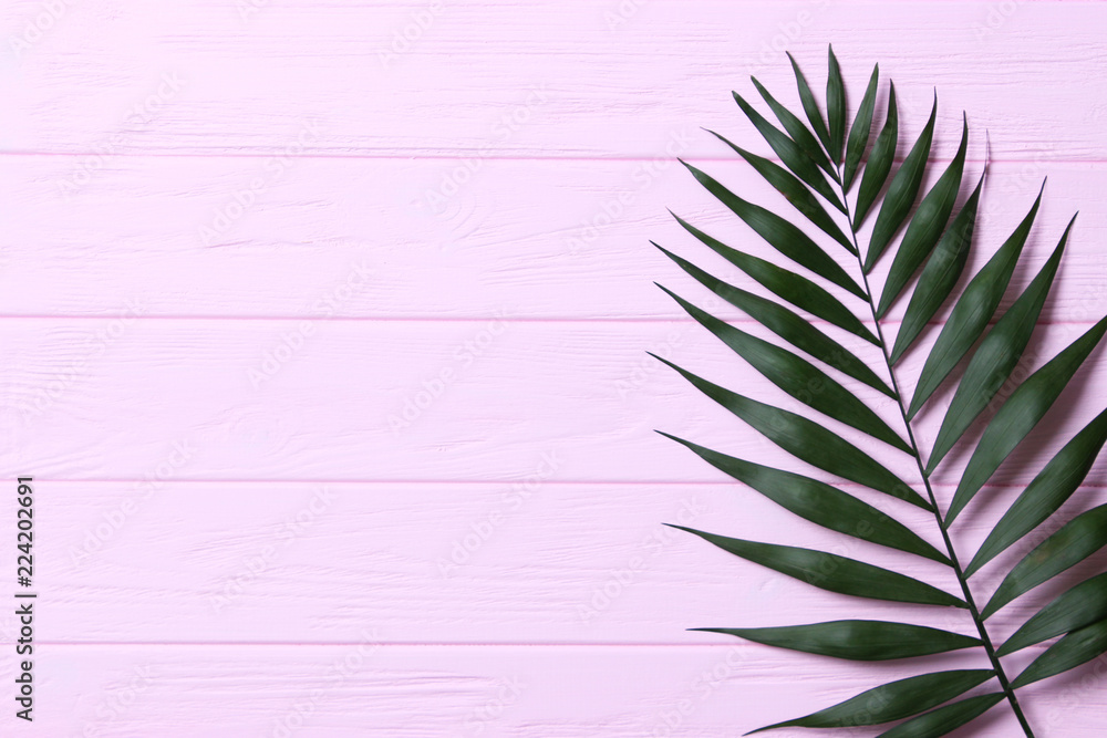 palm leaves on a wooden background with free space for text. a draft for a design. minimalism, creativity. flatlay palm leaves on a wooden background with free space for text. a draft for a design. minimalism, creativity. flatlay