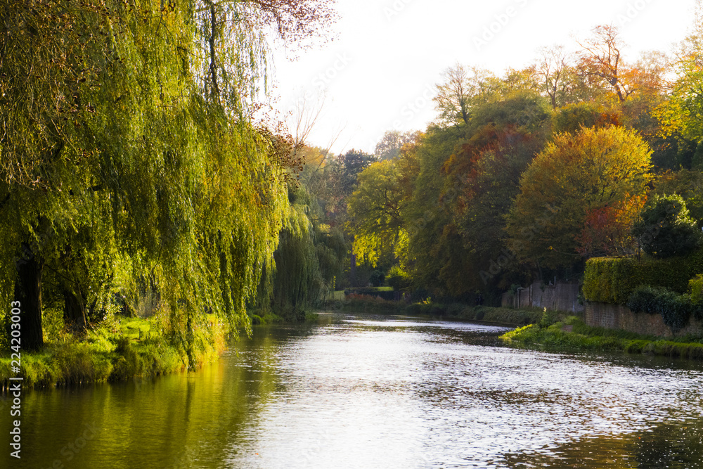The River Wey,Guildford, Surrey,England The River Wey,Guildford, Surrey,England