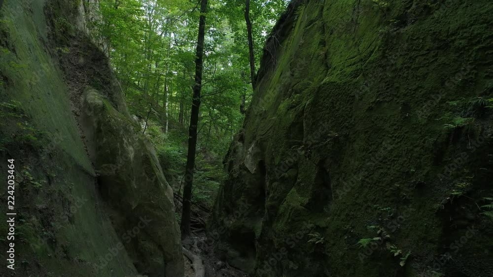 A narrow mountain canyon in the forest. Cave, mountain pass. A narrow mountain canyon in the forest. Cave, mountain pass.