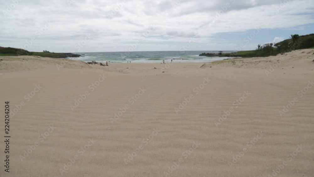 the coastline in the wind nature and wild the coastline in the wind nature and wild
