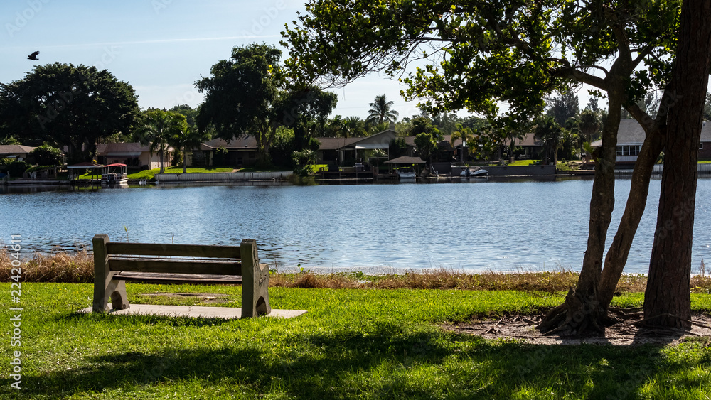 Obraz premium bench in the park