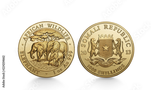 1 oz African Wildlife2 Schatten.jpg