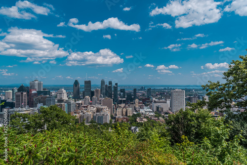 MONTREAL, QUEBEC / CANADA - JULY 15 2018: Montreal cityscape. View from the port..