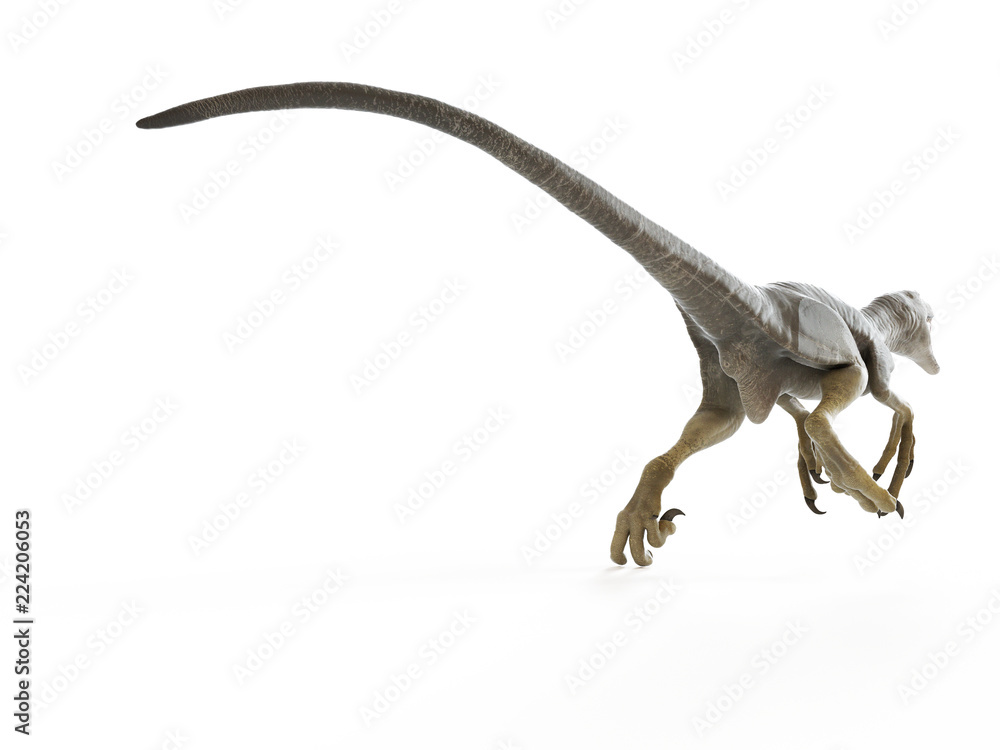 3d rendered illustration of a dakotaraptor