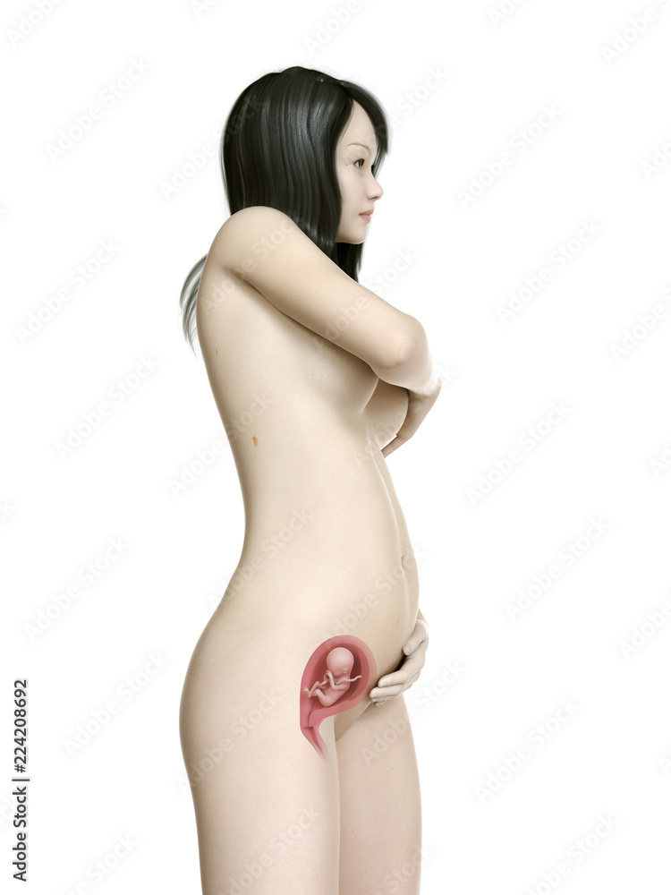 asians  pregnant nudist pregnant asian male, handsome, intricate, elegant, | Stable ...