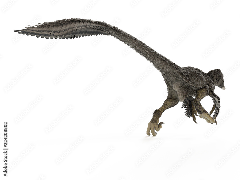 3d rendered illustration of a dakotaraptor 3d rendered illustration of a dakotaraptor
