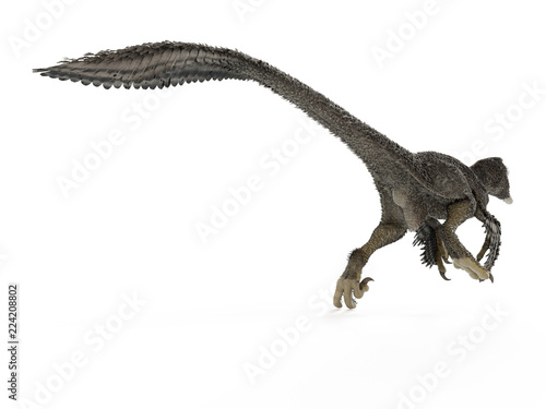 3d rendered illustration of a dakotaraptor