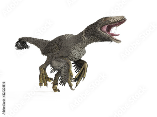 3d rendered illustration of a dakotaraptor