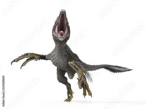 3d rendered illustration of a dakotaraptor © Sebastian Kaulitzki