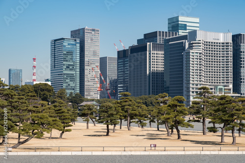TOKYO, JAPAN - 14 FEB 2018: Chiyoda skyline and trees from Imperial palace park tight shot at daytime © nicomaderna