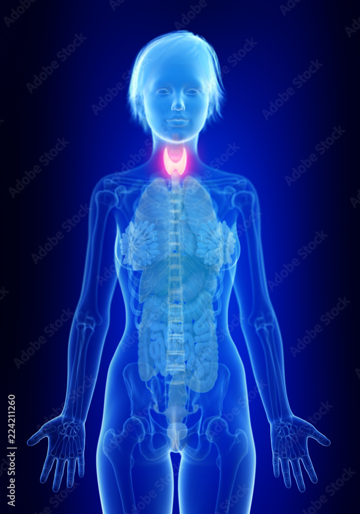 3d rendered medically accurate illustration of an inflamed thyroid gland 3d rendered medically accurate illustration of an inflamed thyroid gland