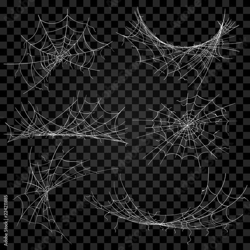Vector cobweb. Spider halloween spiderweb scary horror clipart isolated on transparent background