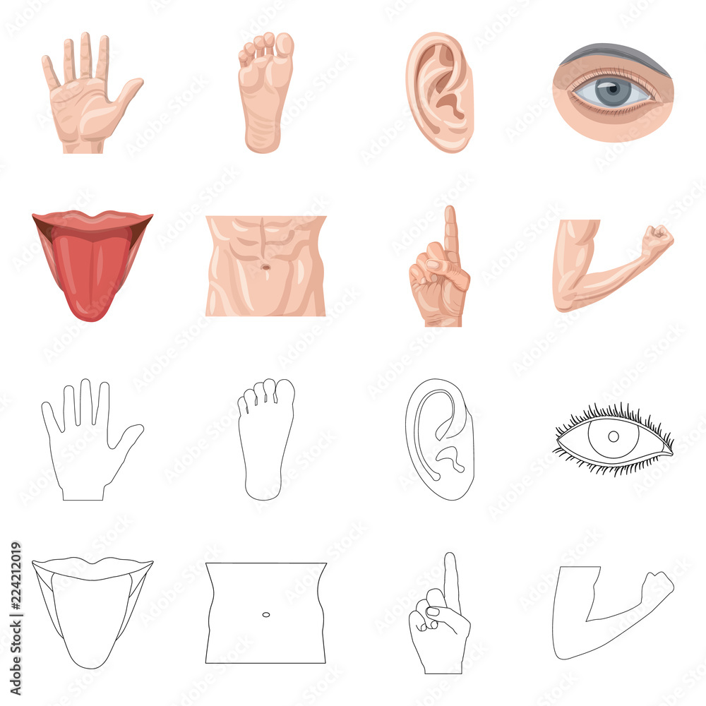 Fototapeta premium Vector design of human and part symbol. Set of human and woman stock symbol for web.