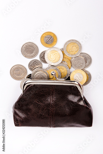 Wallpaper Mural Old brown purse with scattered coins. Polish zloty coins Torontodigital.ca